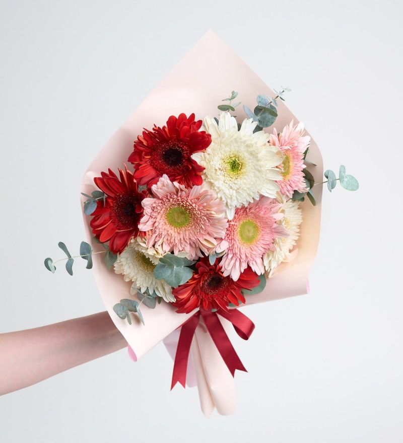 Pudra Bukette Kırmızı Pembe ve Beyaz Gerberalar