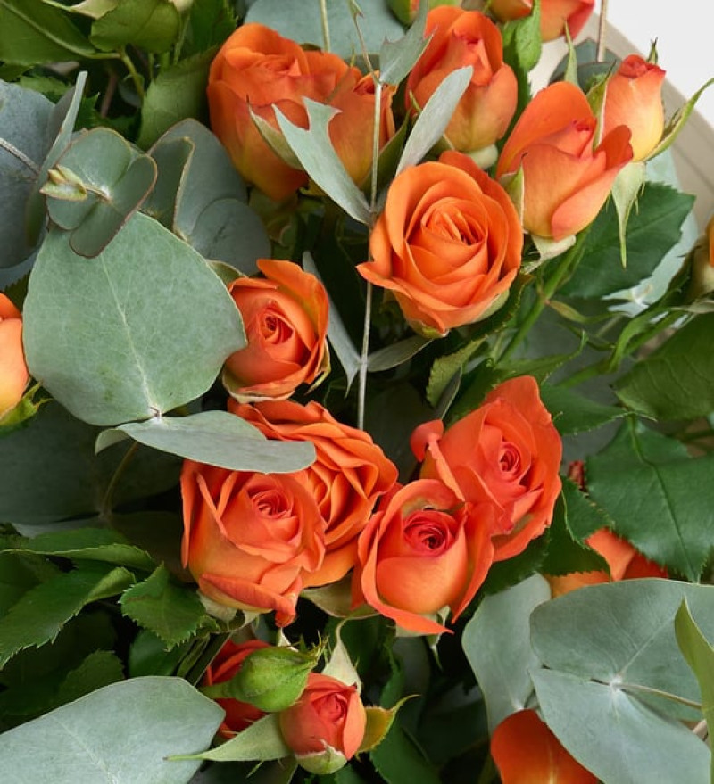 Gri Gazete Buket Kağıdında Turuncu Çardak Güller