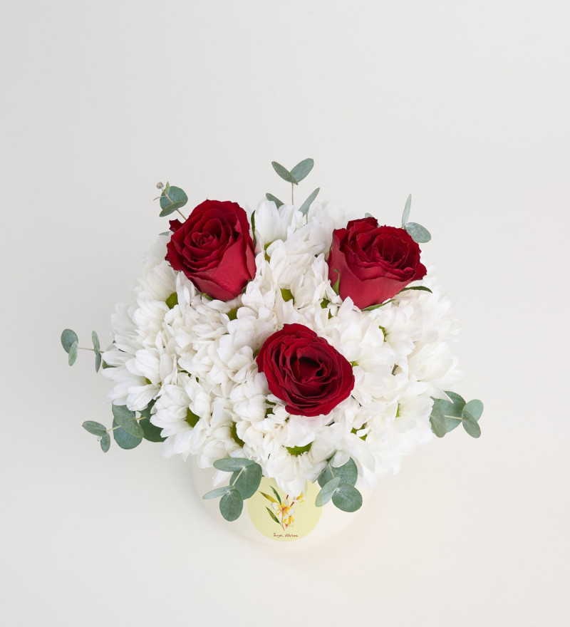 Özür Dilerim Vazolu 3 Kırmızı Gül ve Papatya Aranjmanı