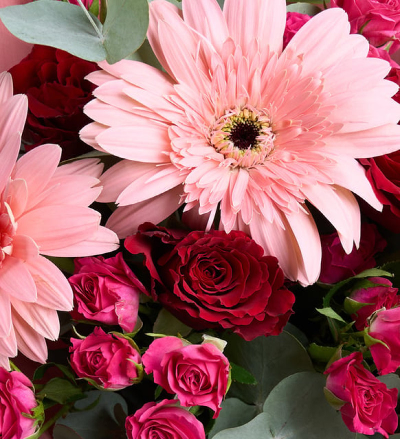 Bukette Kırmızı & Pembe Güller ve Pembe Gerberalar