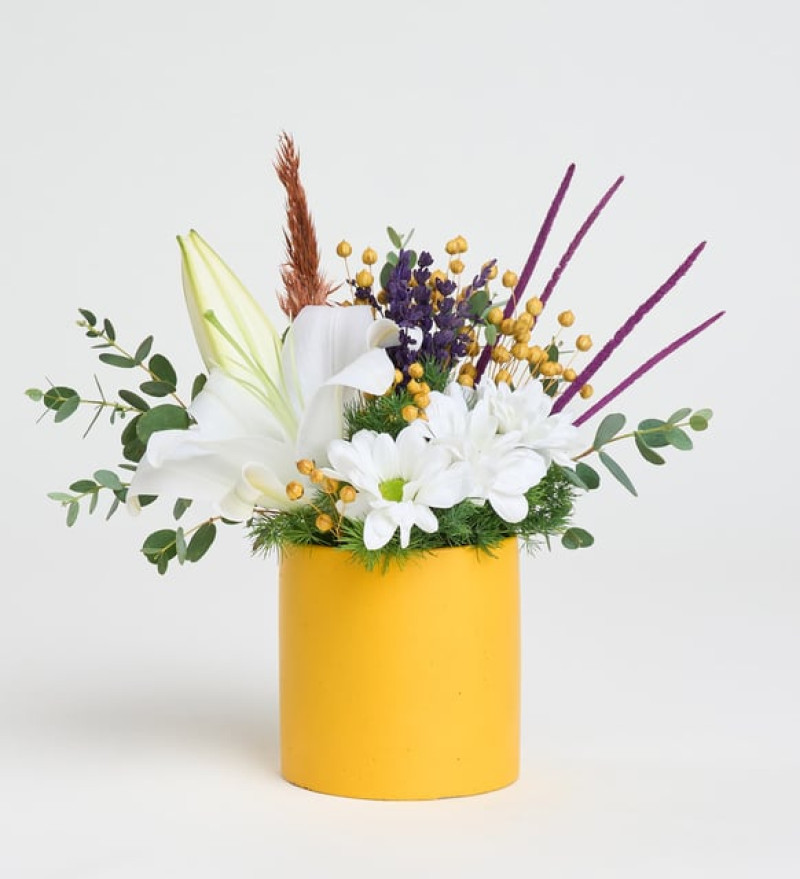  Sarı Saksıda Beyaz Lilyum ve Beyaz Papatyalar Zambak