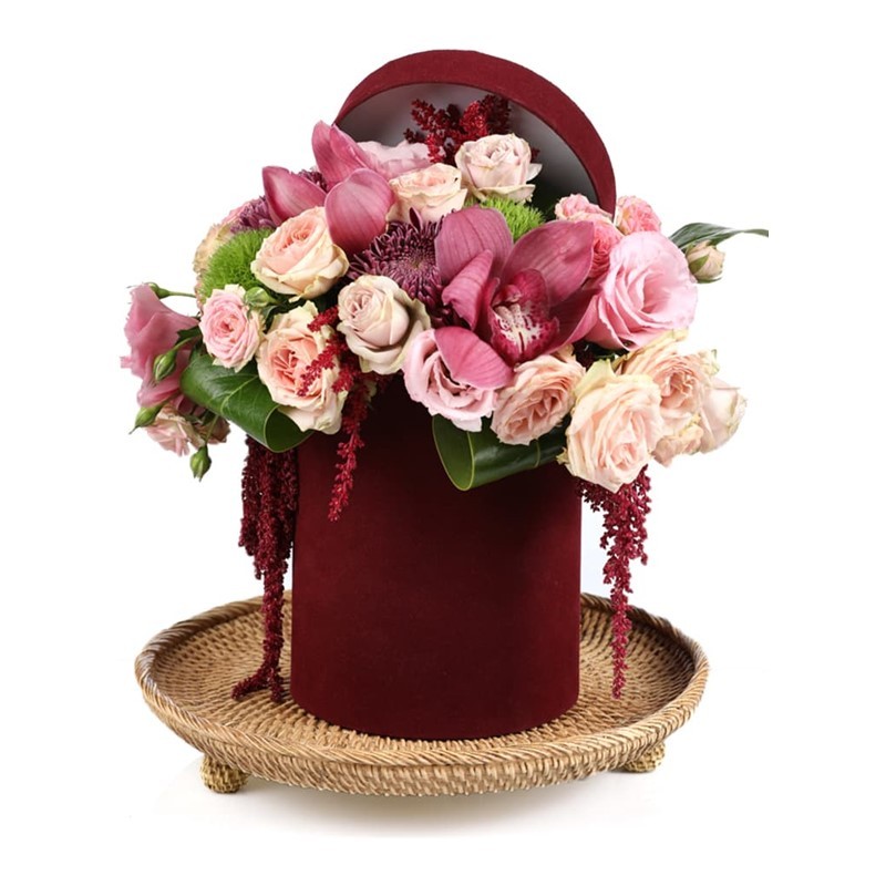 Pastel Pillow & Tropical Wild