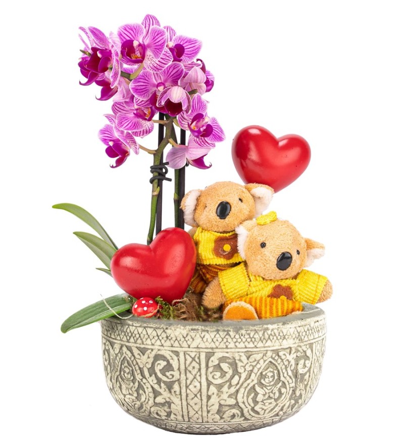 Kayıp Hazineler Serisi Çift Dal Mini Orkide Kalp Kalbe Karşı Tasarım